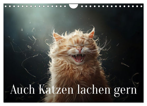 Auch Katzen lachen gern (Wandkalender 2027 DIN A4 quer), CALVENDO Monatskalender