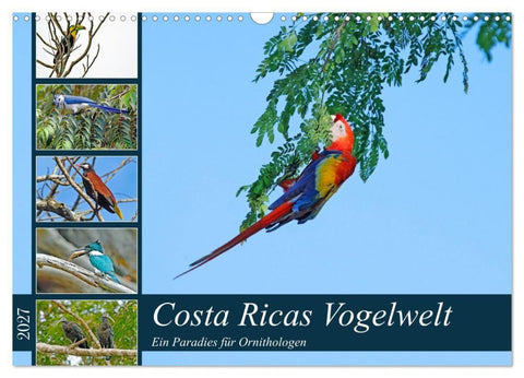 Costa Ricas Vogelwelt (Wandkalender 2027 DIN A3 quer), CALVENDO Monatskalender