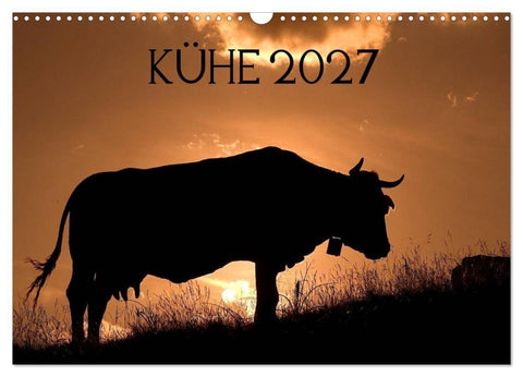 Kühe 2027 (Wandkalender 2027 DIN A3 quer), CALVENDO Monatskalender