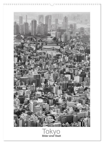 Tokyo - Bilder einer Stadt (Wandkalender 2026 DIN A2 hoch), CALVENDO Monatskalender