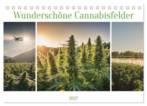 Wunderschöne Cannabisfelder (Tischkalender 2027 DIN A5 quer), CALVENDO Monatskalender
