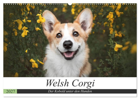 Welsh Corgi - Der Kobold unter den Hunden (Wandkalender 2027 DIN A2 quer), CALVENDO Monatskalender