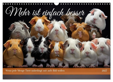 Mehr ist einfach besser (Wandkalender 2027 DIN A3 quer), CALVENDO Monatskalender