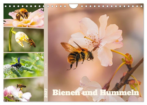 Bienen und Hummeln in Aktion (Wandkalender 2027 DIN A4 quer), CALVENDO Monatskalender