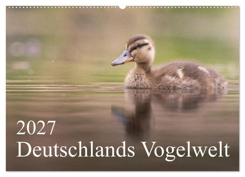 Deutschlands Vogelwelt (Wandkalender 2027 DIN A2 quer), CALVENDO Monatskalender