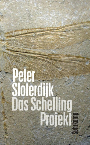 Das Schelling-Projekt