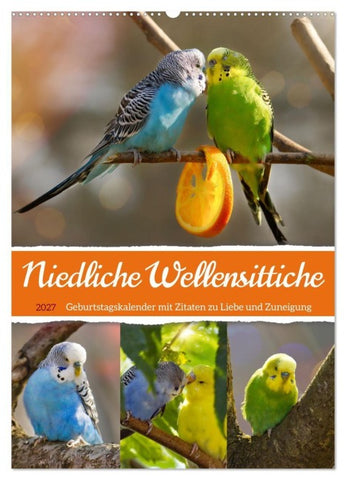 Niedliche Wellensittiche (Wandkalender 2027 DIN A2 hoch), CALVENDO Monatskalender