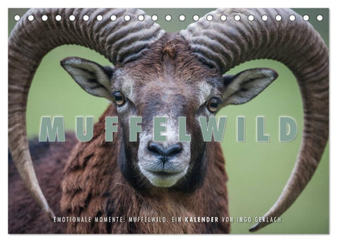 Emotionale Momente: Muffelwild. (Tischkalender 2026 DIN A5 quer), CALVENDO Monatskalender