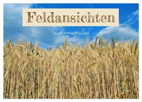 Feldansichten (Wandkalender 2026 DIN A2 quer), CALVENDO Monatskalender