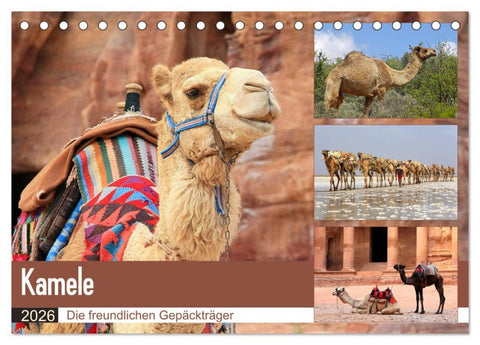 Kamele - Die freundlichen Gepäckträger (Tischkalender 2026 DIN A5 quer), CALVENDO Monatskalender