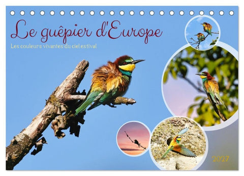 Le guêpier d'Europe (Calendrier de bureau 2027 DIN A5 vertical), CALVENDO calendrier mensuel
