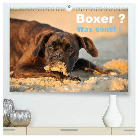 Boxer ? Was sonst ! (hochwertiger Premium Wandkalender 2026 DIN A2 quer), Kunstdruck in Hochglanz