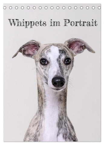Whippets im Portrait (Tischkalender 2027 DIN A5 hoch), CALVENDO Monatskalender