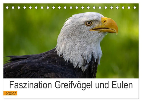 Faszination Greifvögel und Eulen (Tischkalender 2027 DIN A5 quer), CALVENDO Monatskalender