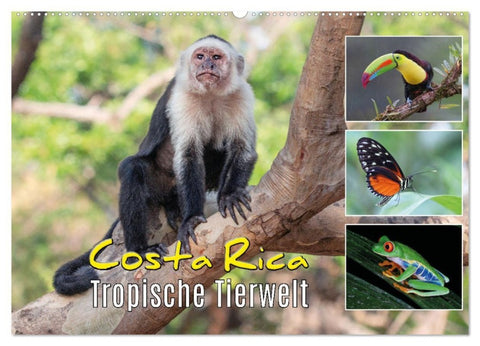 Costa Rica - Tropische Tierwelt (Wandkalender 2027 DIN A2 quer), CALVENDO Monatskalender