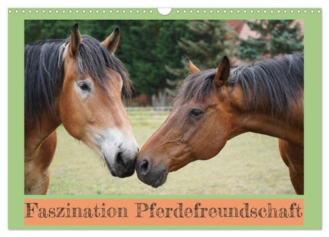 Faszination Pferdefreundschaft (Wandkalender 2027 DIN A3 quer), CALVENDO Monatskalender