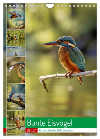 Bunte Eisvögel (Wandkalender 2027 DIN A4 hoch), CALVENDO Monatskalender