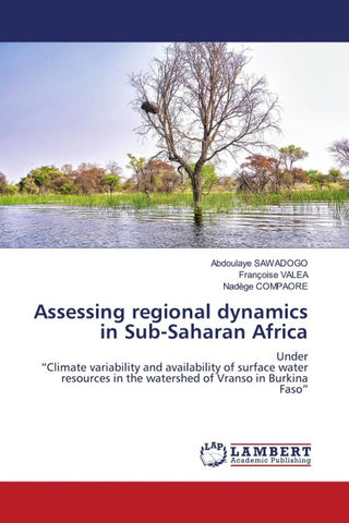 Assessing regional dynamics in Sub-Saharan Africa