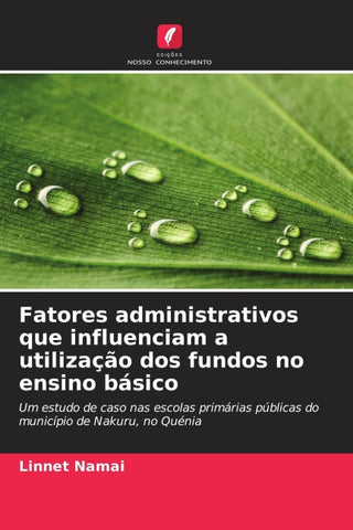 Fatores administrativos que influenciam a utilização dos fundos no ensino básico