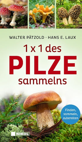 1 x 1 des Pilzesammelns