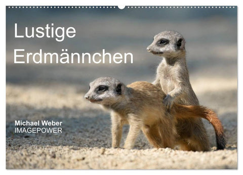 Lustige Erdmännchen (Wandkalender 2027 DIN A2 quer), CALVENDO Monatskalender