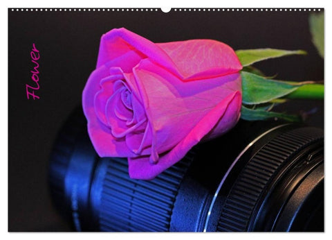 Flower (Wandkalender 2027 DIN A2 quer), CALVENDO Monatskalender