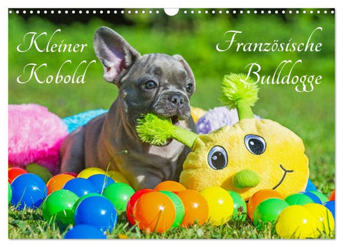 Kleiner Kobold Französische Bulldogge (Wandkalender 2027 DIN A3 quer), CALVENDO Monatskalender