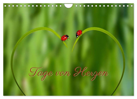 Tage von Herzen (Wandkalender 2026 DIN A4 quer), CALVENDO Monatskalender