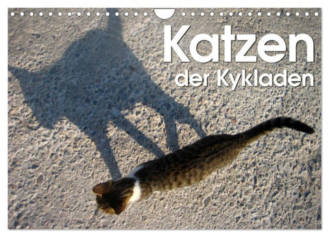Katzen der Kykladen (Wandkalender 2026 DIN A4 quer), CALVENDO Monatskalender