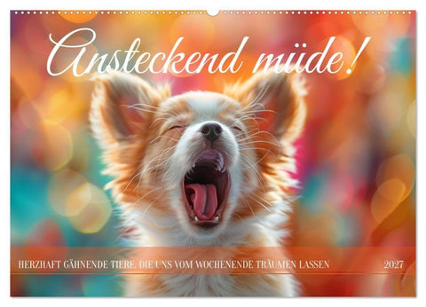 Ansteckend müde! (Wandkalender 2027 DIN A2 quer), CALVENDO Monatskalender