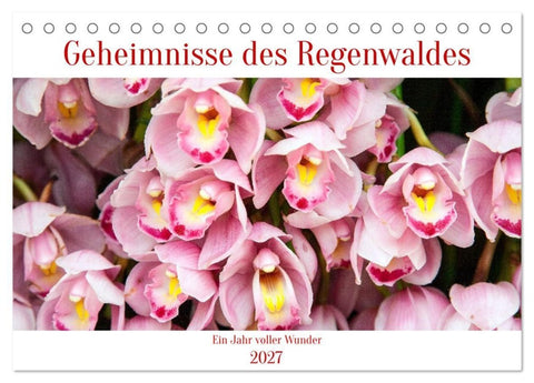 Geheimnisse des Regenwaldes (Tischkalender 2027 DIN A5 quer), CALVENDO Monatskalender