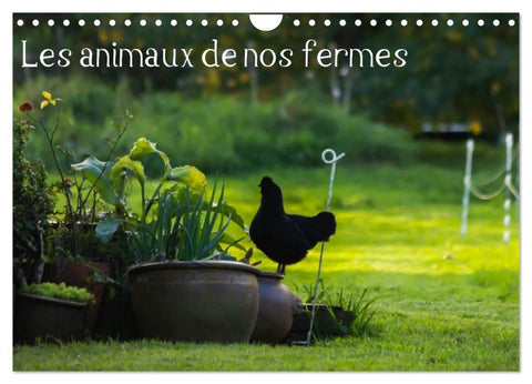 Les animaux de nos fermes (Calendrier mural 2027 DIN A4 vertical), CALVENDO calendrier mensuel