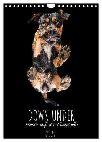 Down Under - Hunde auf der Glasplatte (Wandkalender 2027 DIN A4 hoch), CALVENDO Monatskalender