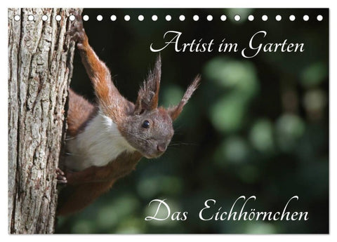 Artist im Garten. Das Eichhörnchen (Tischkalender 2027 DIN A5 quer), CALVENDO Monatskalender