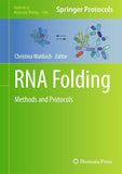 RNA Folding