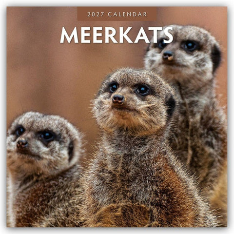 Meerkats – Erdmännchen 2027 – 16-Monatskalender