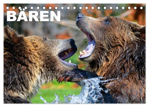 Bären (Tischkalender 2026 DIN A5 quer), CALVENDO Monatskalender