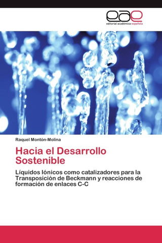 Hacia el Desarrollo Sostenible