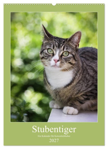 Stubentiger (Wandkalender 2027 DIN A2 hoch), CALVENDO Monatskalender