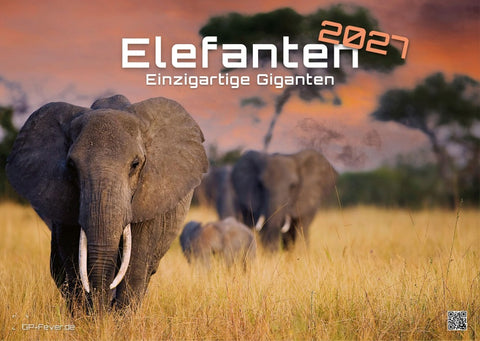 Elefanten - einzigartige Giganten - 2027 - Kalender DIN A3