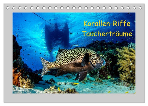 Korallen-Riffe Taucherträume (Tischkalender 2027 DIN A5 quer), CALVENDO Monatskalender