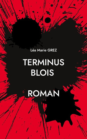 Terminus Blois