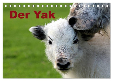 Der Yak (Tischkalender 2027 DIN A5 quer), CALVENDO Monatskalender