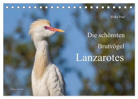 Die schönsten Brutvögel Lanzarotes (Tischkalender 2027 DIN A5 quer), CALVENDO Monatskalender