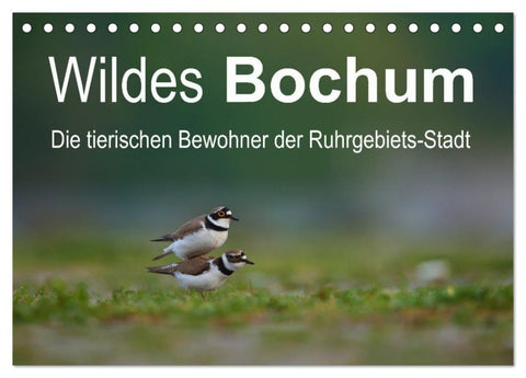 Wildes Bochum (Tischkalender 2026 DIN A5 quer), CALVENDO Monatskalender