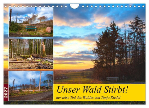 Unser Wald Stirbt (Wandkalender 2027 DIN A4 quer), CALVENDO Monatskalender