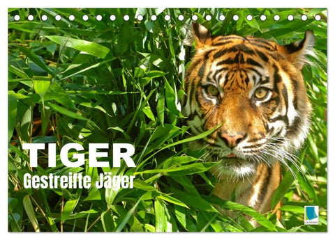 Tiger: Gestreifte Jäger (Tischkalender 2027 DIN A5 quer), CALVENDO Monatskalender