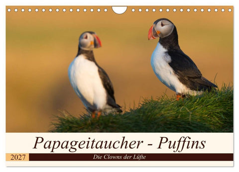 Papageitaucher - Puffins (Wandkalender 2027 DIN A4 quer), CALVENDO Monatskalender