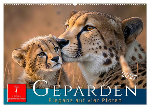 Geparden - Eleganz auf vier Pfoten (Wandkalender 2027 DIN A2 quer), CALVENDO Monatskalender