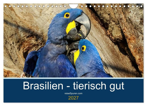 Brasilien tierisch gut 2027 (Wandkalender 2027 DIN A4 quer), CALVENDO Monatskalender